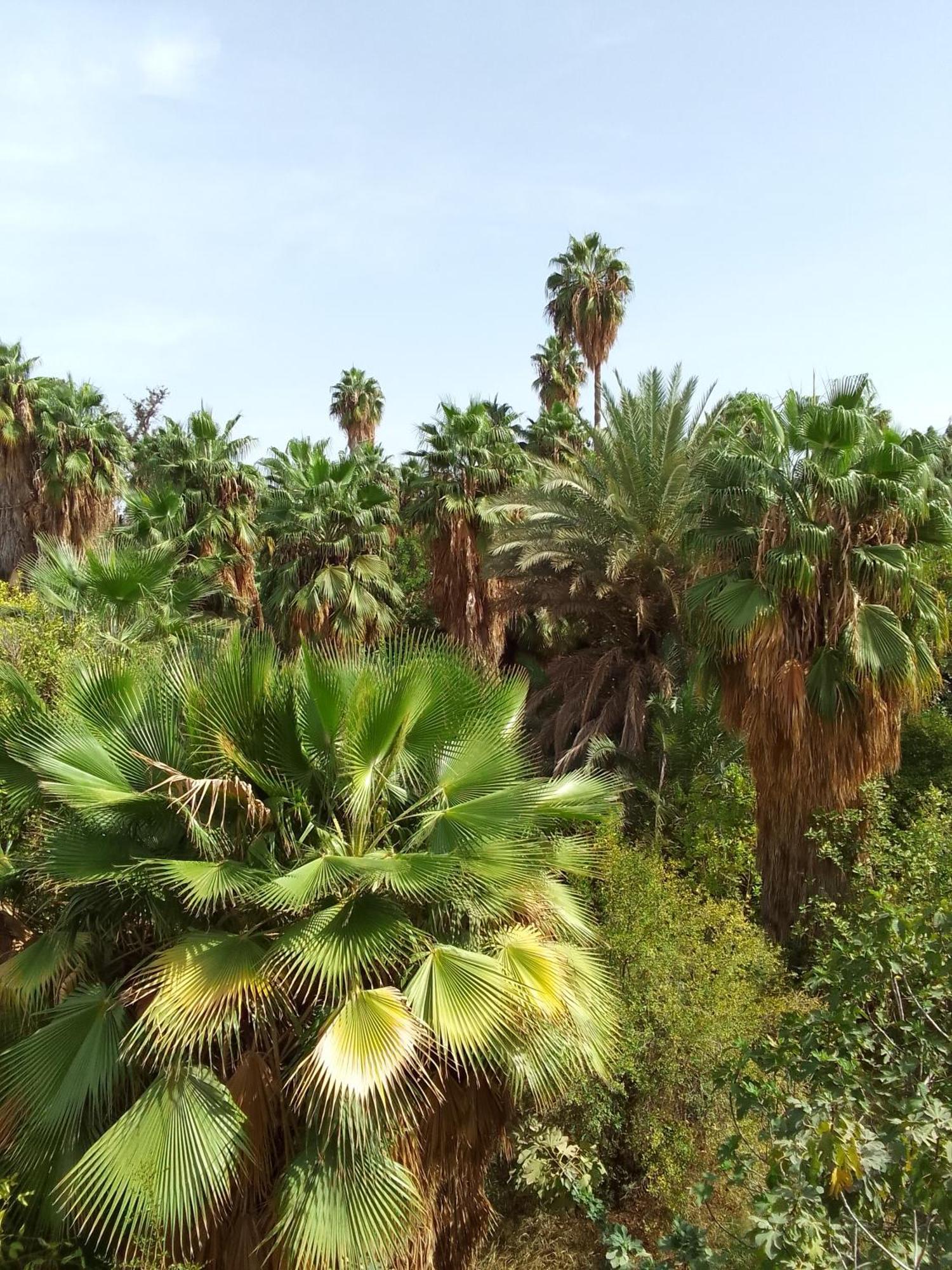The Garden House - Medina Hotel Marrakesh Exterior photo